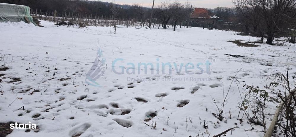 Teren intravilan, zona Gheorghe Doja, Oradea, Gaminvest, V4529A