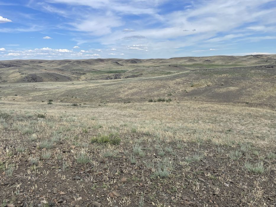 участок арендаға беремін 100га