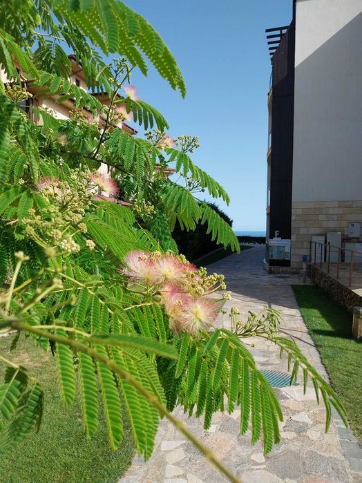 НОЩУВКИ в ДВУСТАЕН апартамент в комплекс ТОПОЛА СКАЙС(Балчик), 4*.