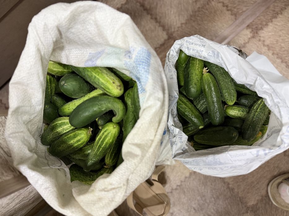 Дачная продукция