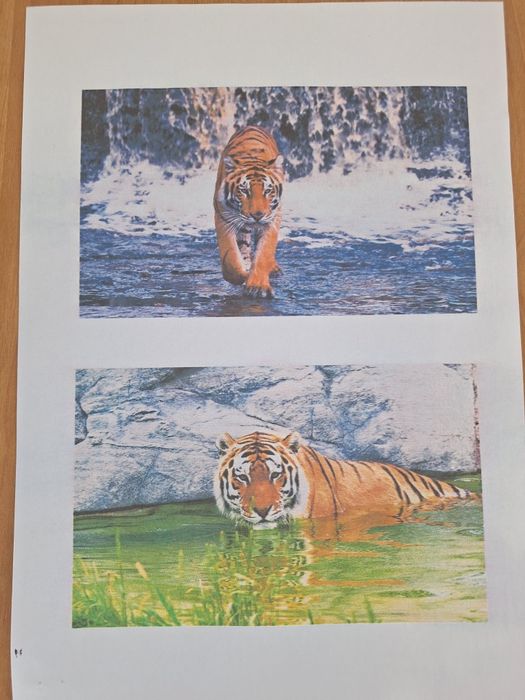 Продам мфу epson