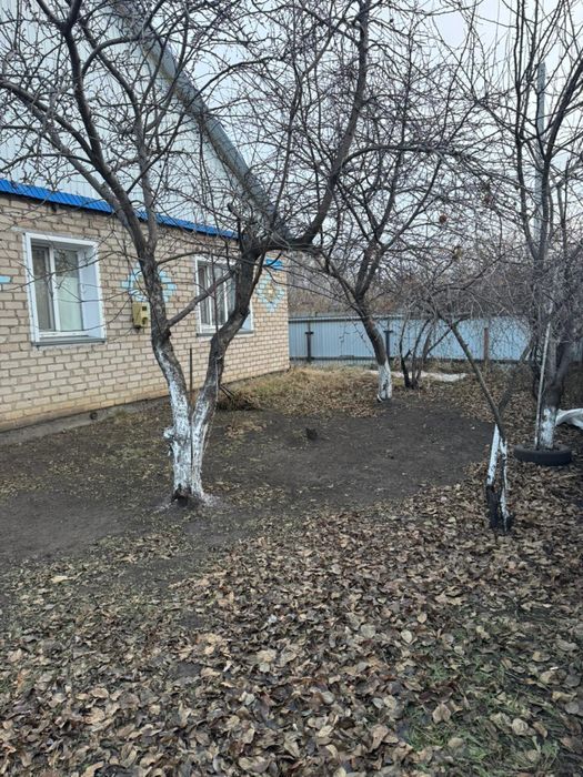 Продам дом + бизнес