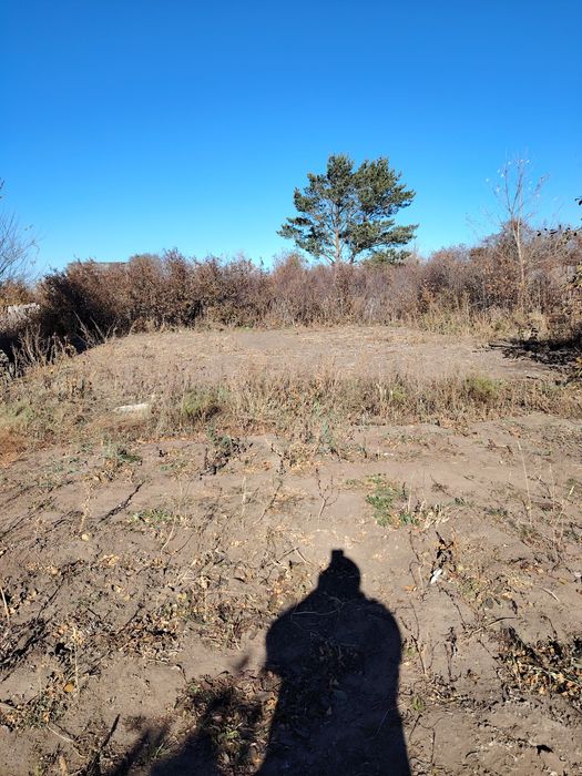 Продаётся дача в Ромашке