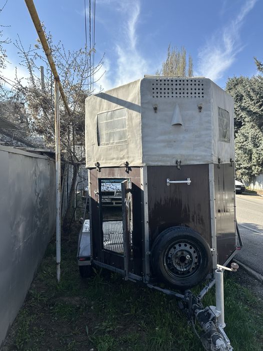 Коневозка для лошадей