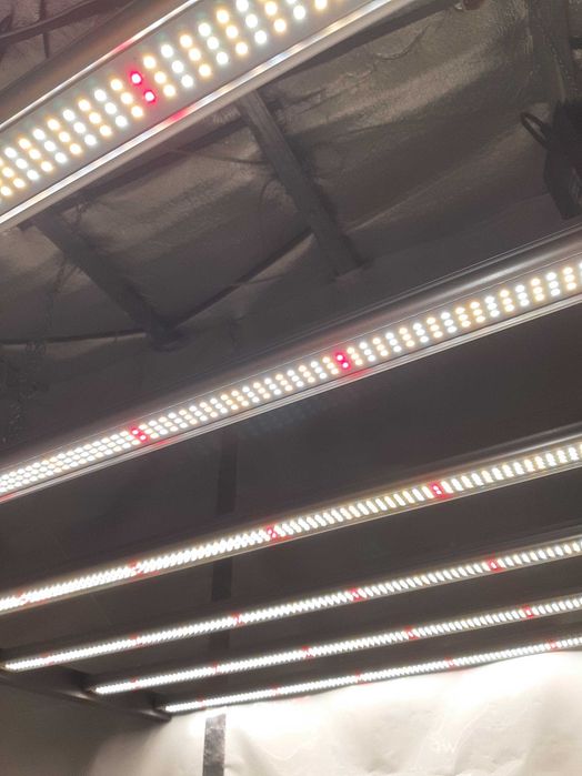 Lumii Black 720w led grow light
