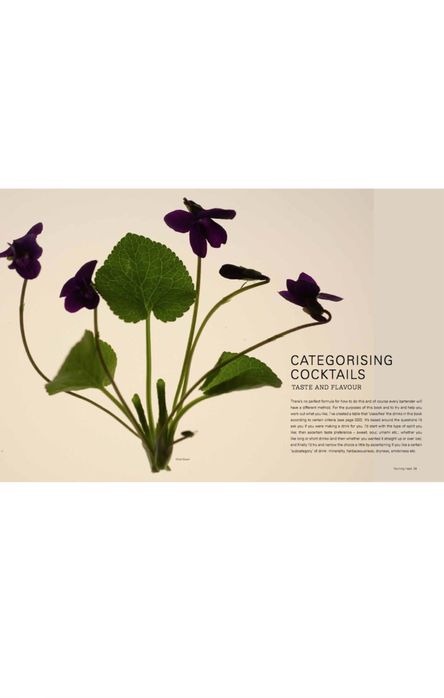 Барман книга: The Modern Cocktail: Innovation + Flavour