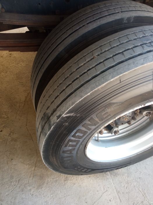 Zil bichok yili 2007