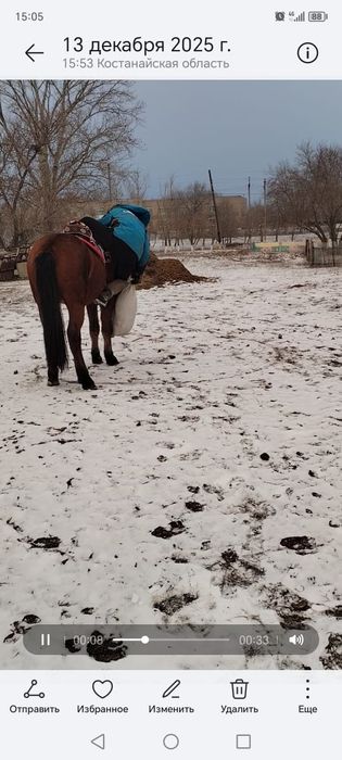 Сельхоз животное