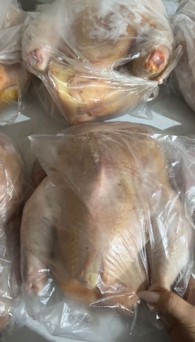 мясо уток ОПТОМ. куры оптом