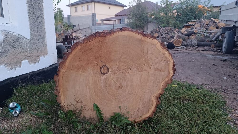 Чурбак для мяса (карагач)