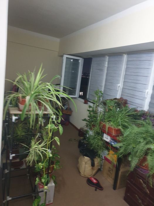 Квартира новостройки