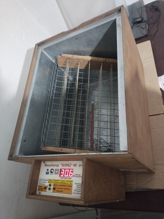 Продам Инкубатор и цыплят