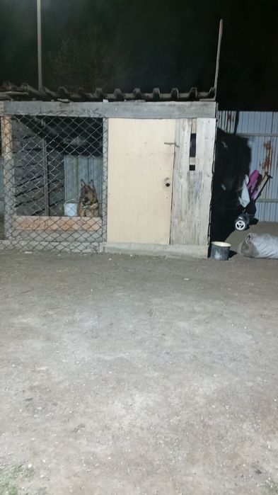 Отдам в хорошие руки