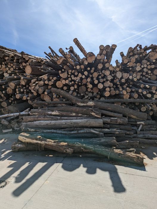 Lemne de foc de calitate