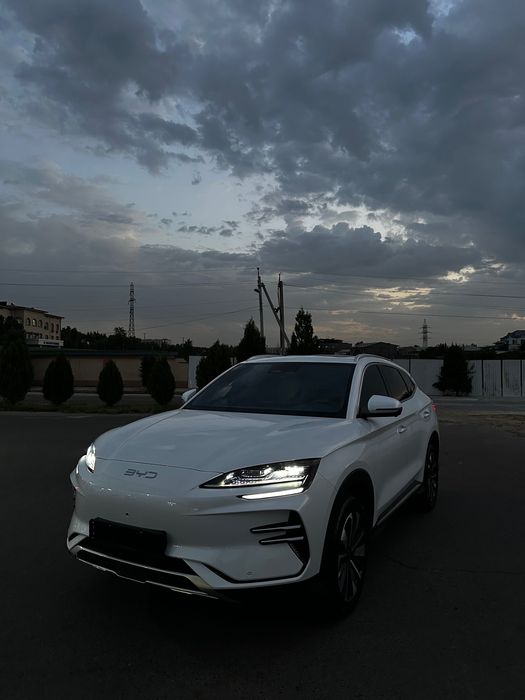 BYD Chempion Restaling