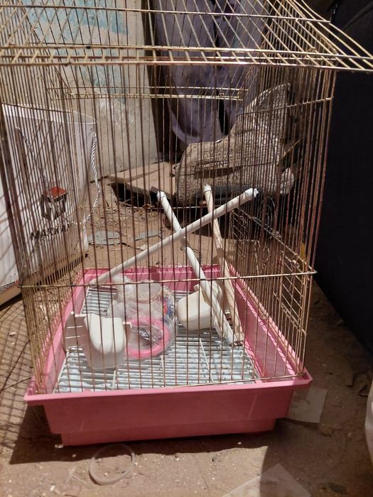 Клетки для папугаев