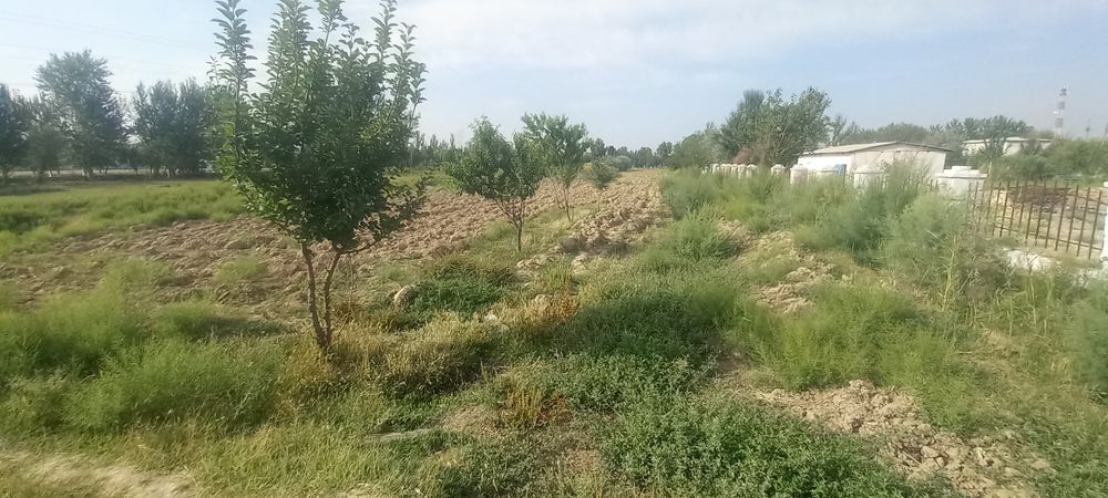 Diqqat uchastka sotiladi