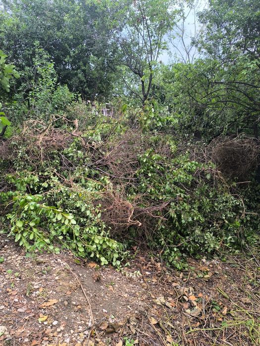 Facem curățenie garaje poduri apartamente lom Electrocasnice fiare vec