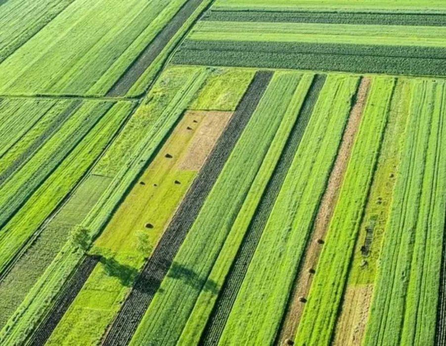 Аэросъёмка | Съёмка с дрона | Видео с квадрокоптера