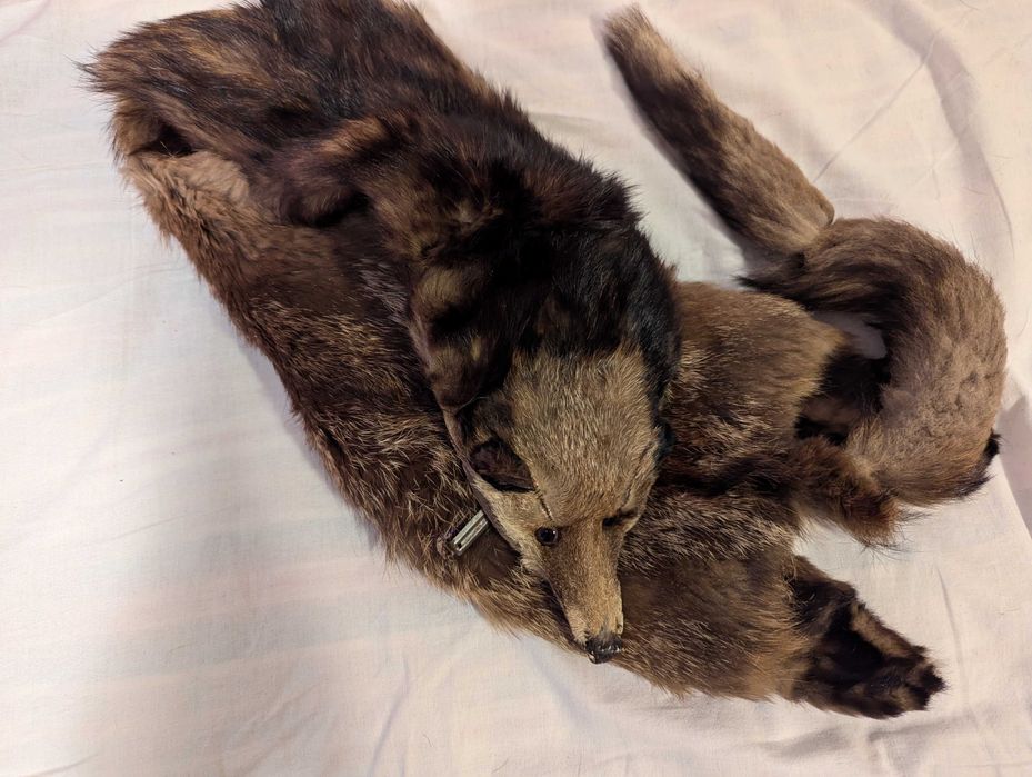 Кожена яка-лисица