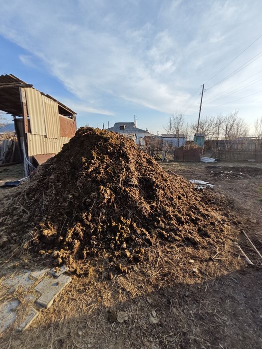 Отдам бесплатно навоз коровы...срочно самовывоз