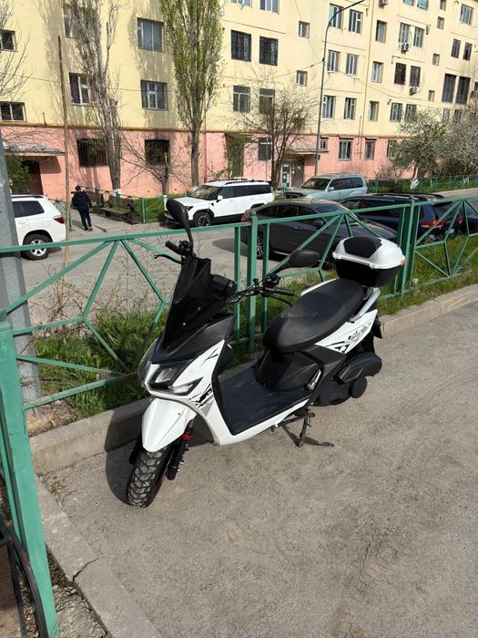 Мапед самураи 150 куп