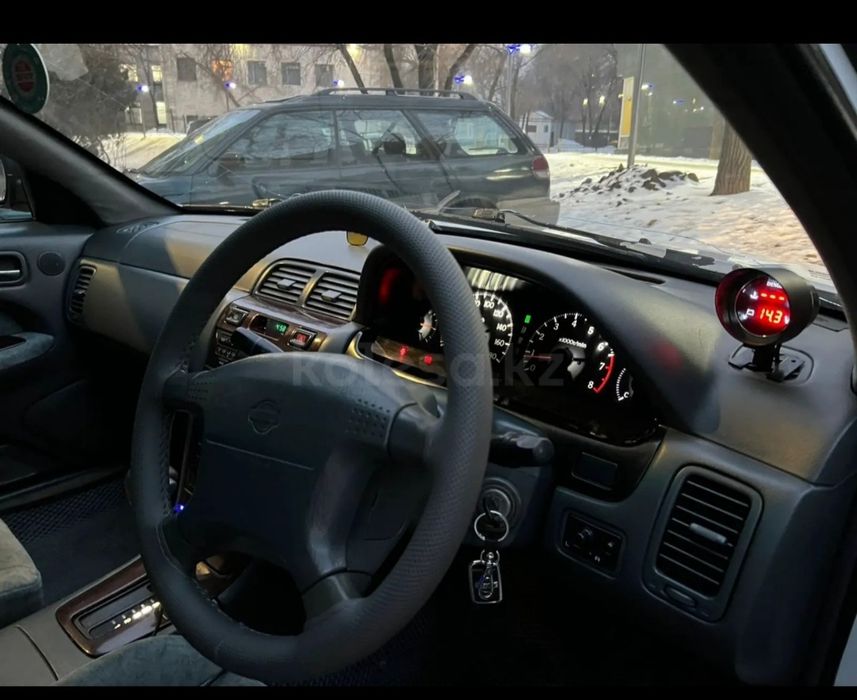 Продам  Лошадь Айгыр Жеребчик Тай