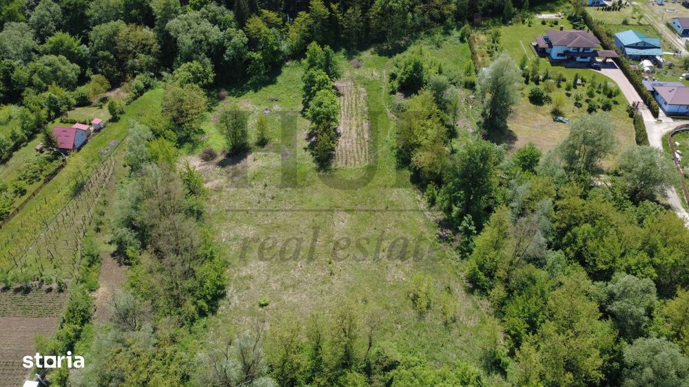 Teren intravilan | langa padure si parau | Luncani/Bacau
