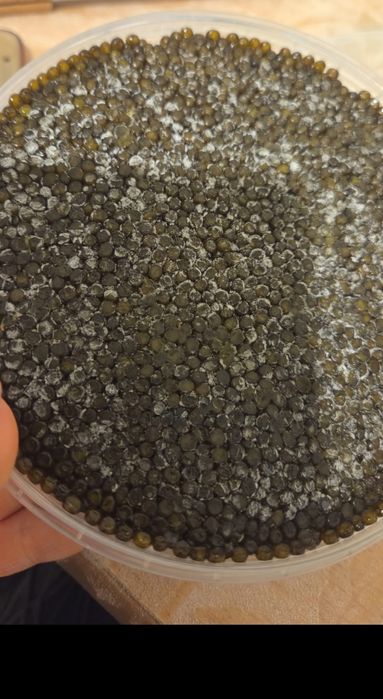 Икра чёрная 1 сорт акции