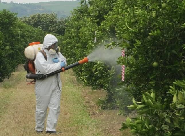 Cura/toaletez și Stropesc copaci/pomi fructiferi/vita de vie