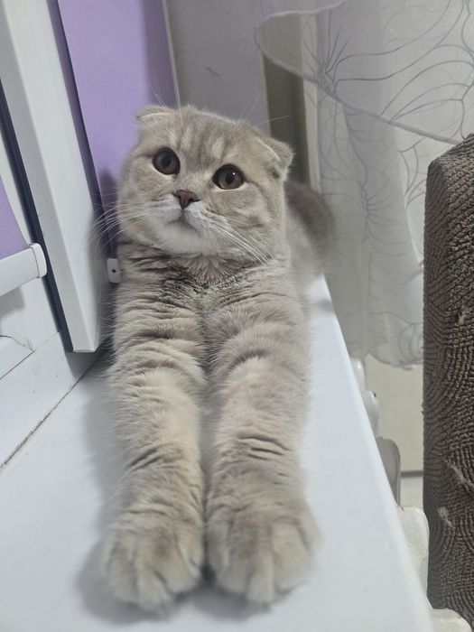 Приглашаем на вязку