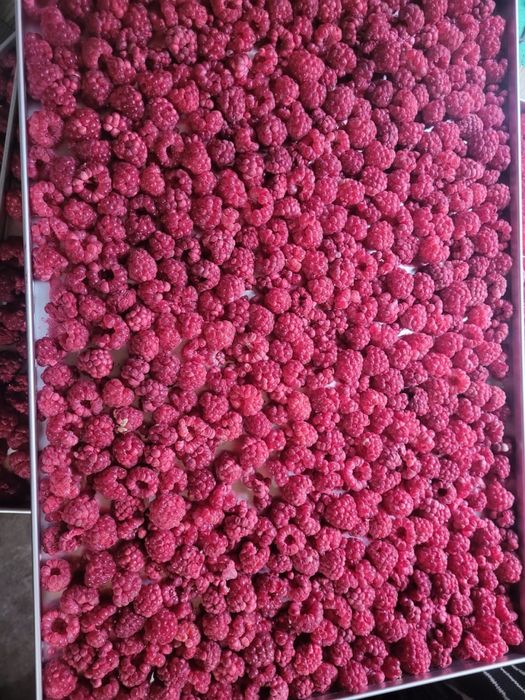 Сублимированная малина и …