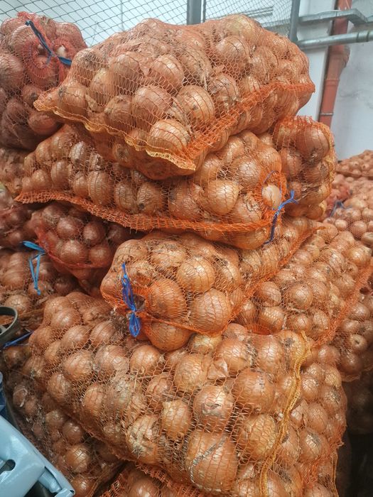 Ceapa romania calitate I