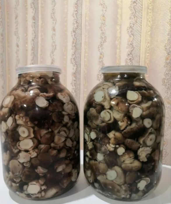 Соленые грибы Валуи