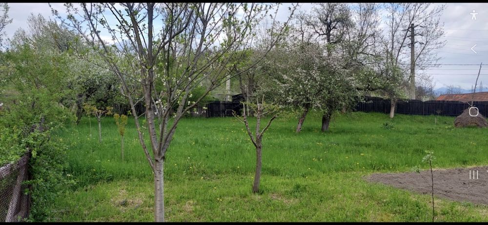 Vand sau inchiriez teren Vulcan si hale in Iscroni Hunedoara