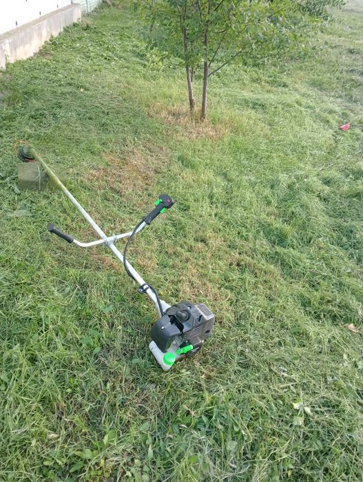 Tai iarba Detalii în privat doar in județul Arad