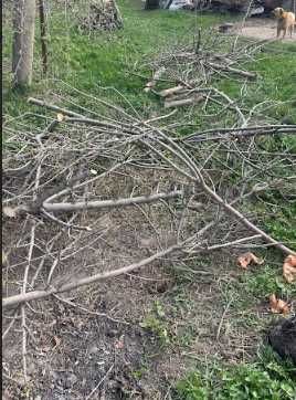 Продам Дрова, самовывоз