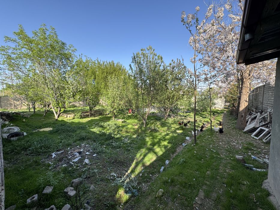 Nazarbek turkiston hovli yer sotiladi