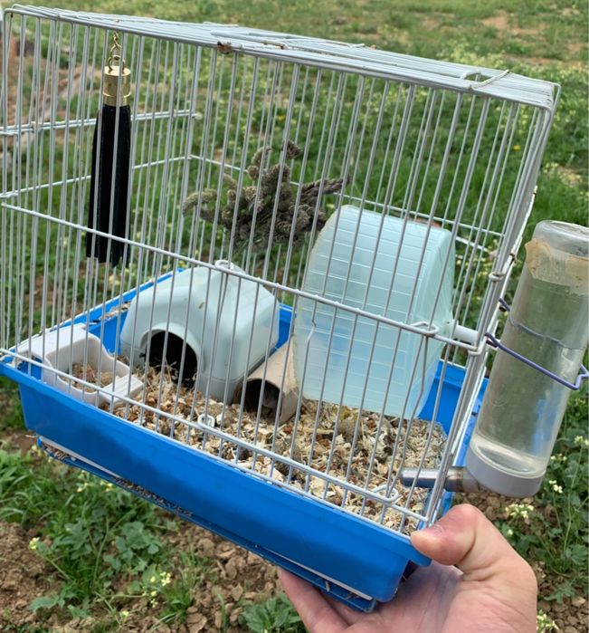Vand hamster cu cusca