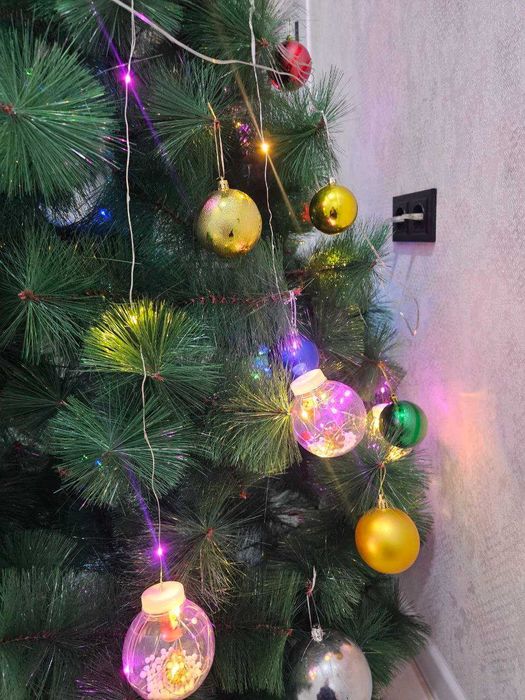 Archa arzon narxda va srochni sotiladi