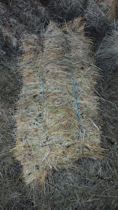 Vând baloți de fân