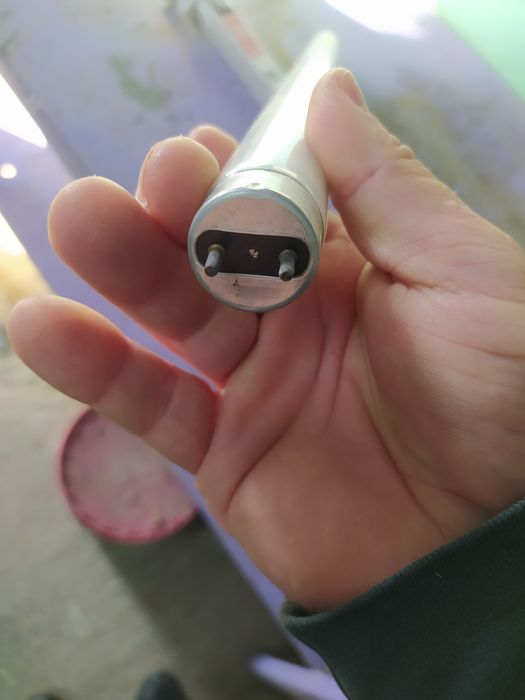 Лампы для плафонов