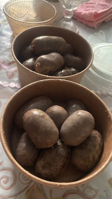 Әсіп. Бұжы. Асип на заказ