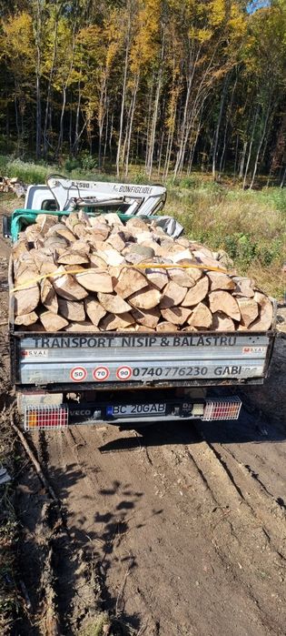 Lemne de foc fag,stejar,carpen