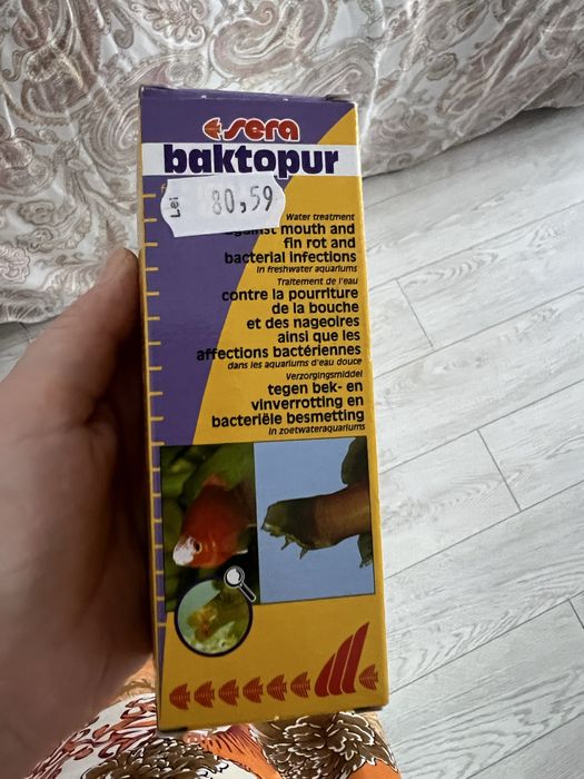 Sera baktopur in termen nou