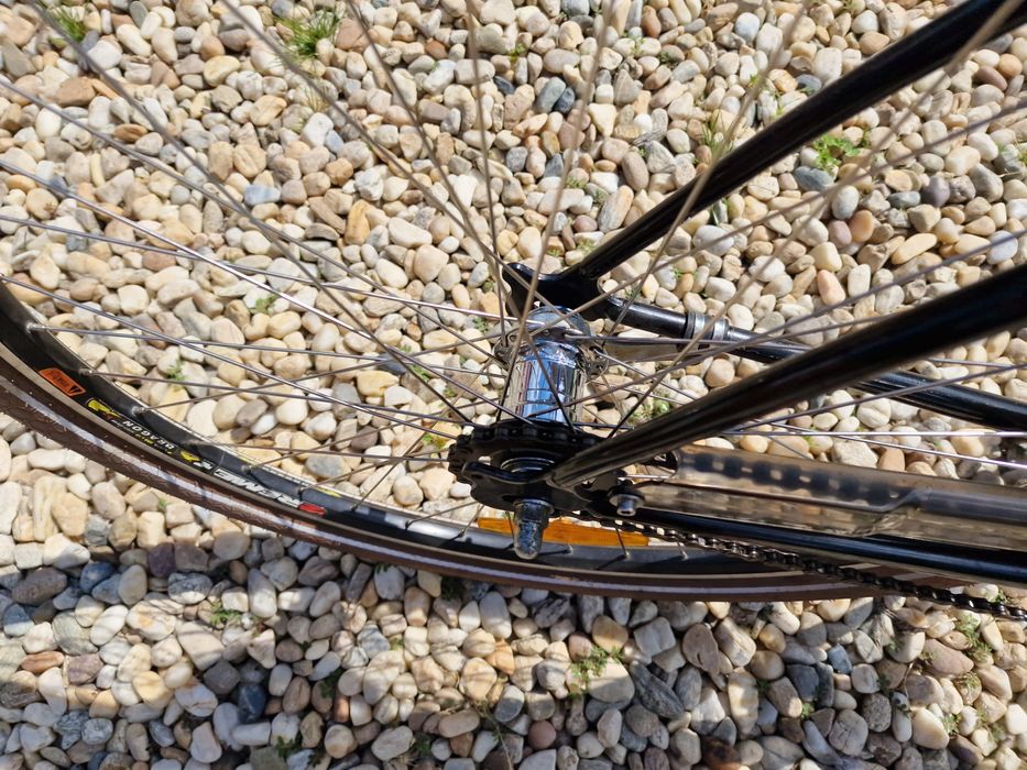 Bicicleta coster venice