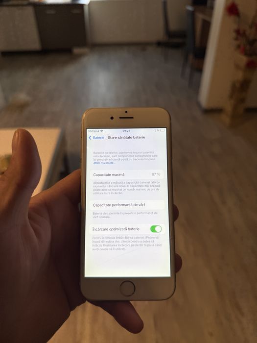iPhone 6s Gold Functional