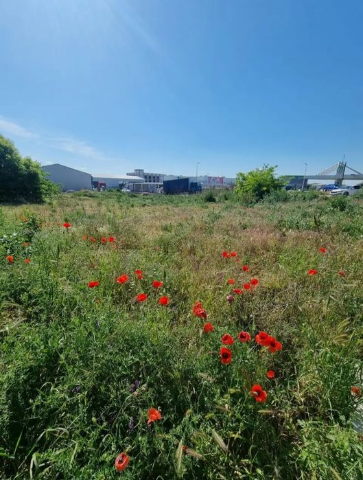 Teren Craiova 2500mp la bulevard
