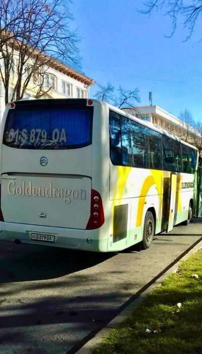 Автобус марки Golden Dragon