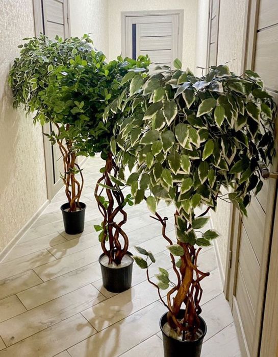 искусственные деревья в наличии